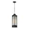 Maxim Lighting Triform 7.5'' LED Outdoor Pendant, Black/Antique Brass 30764CRBKAB - alternate 1
